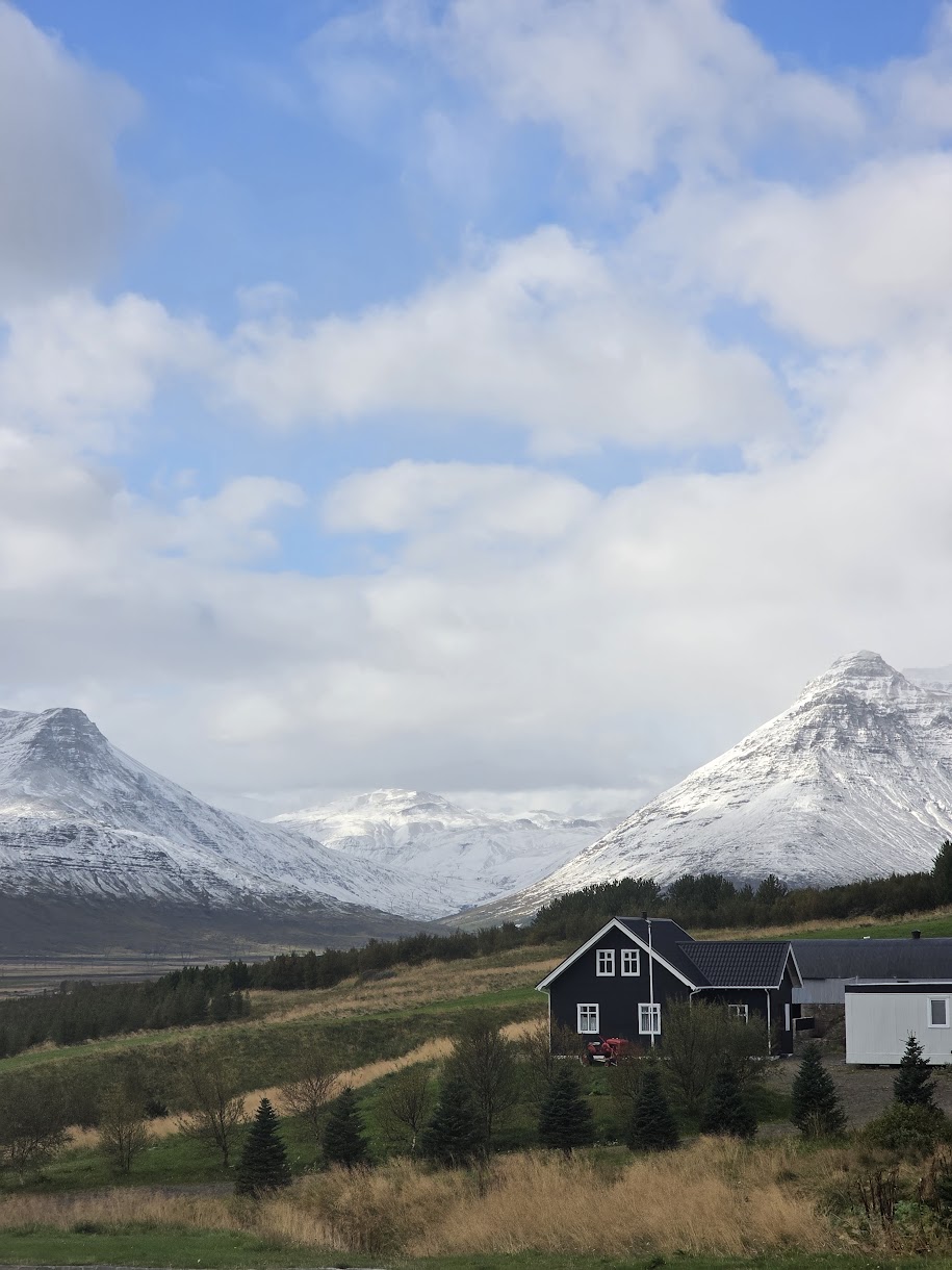 Reyðafjörður_snjór